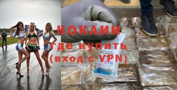 молекула духа Бородино