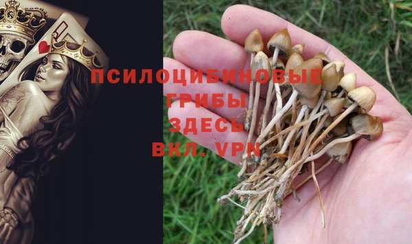 крисы Бугульма