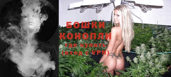 молекула духа Бородино
