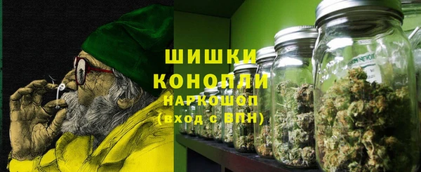 крисы Бугульма