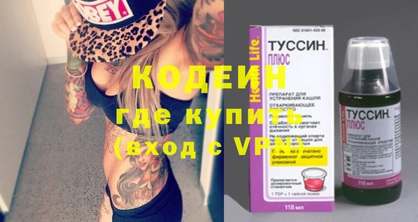 молекула духа Бородино