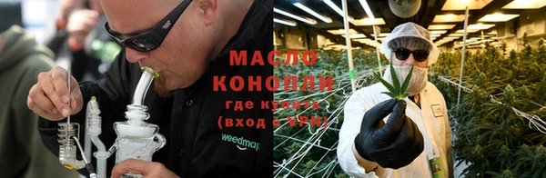 молекула духа Бородино