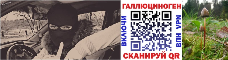 Галлюциногенные грибы Psilocybe Кудымкар