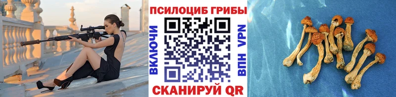Псилоцибиновые грибы мицелий  Купить закладки  Кудымкар 